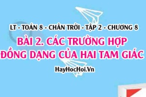 Các trường hợp (3 trường hợp) đồng dạng của hai tam giác? Toán 8 chân trời tập 2 chương 8 bài 2